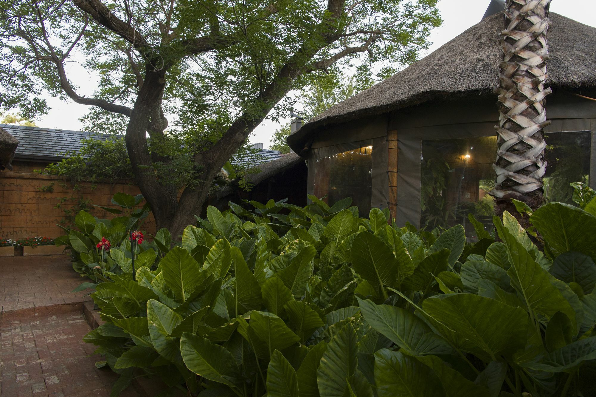 Bayswater Lodge Bloemfontein Exterior photo
